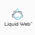 LiquidWeb (Complete Review)